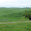 Grasslands near Felt Reservoir, 5 May 2006