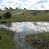 Lower foothills, seasonal wetlands, (pond 2) 11 March  2006